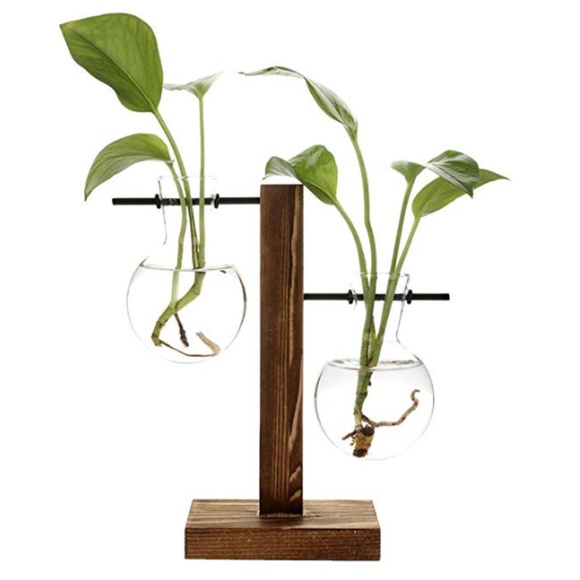 Desktop Glass Planter 2 Tier Bulb Vase - Picture 4 of 6